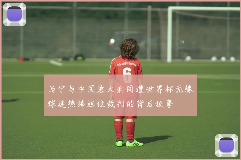 马宁与中国意大利同遭世界杯无缘球迷热捧这位裁判的背后故事